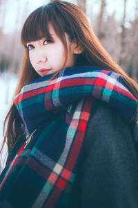 蜡笔小新春日部野生王国