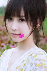 想不想修真一路向西什么属性过